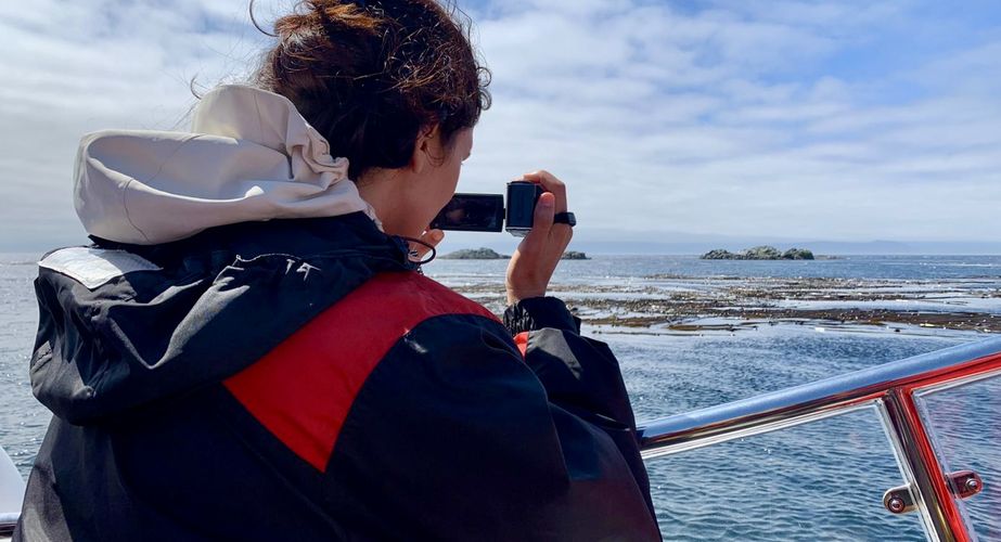 28 38 Canada 30 28 38 Canada 30